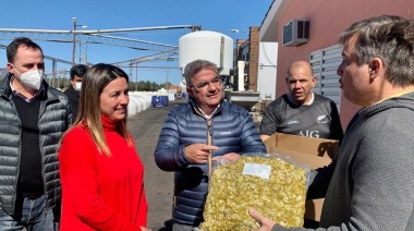 Empresa catamarqueña exportó 20 mil kilos de aceitunas a Australia