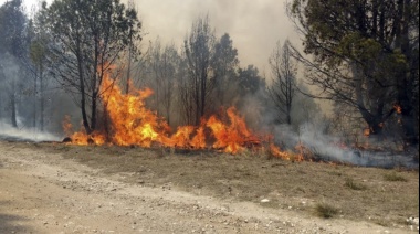 El Gobierno nacional invertirá más de 137 millones en recursos para incendios en Salta