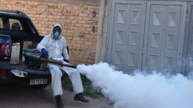 En Tucumán ya se registraron más de 13 mil casos de dengue