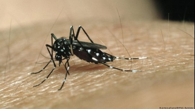 Salta registró un notable descenso de casos de dengue