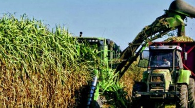 Bioetanol: La fórmula que regula el precio dará previsibilidad a la industria tucumana