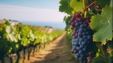 La Rioja brilla en el fin de semana largo por efecto del PreViaje y la compañía de buen Torrontés