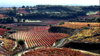 La Rioja será sede de las III Jornadas Nacionales de Turismo del Vino