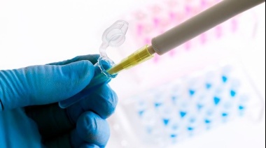 Un descubrimiento del Conicet podría ayudar a suspender tratamientos en pacientes con leucemia