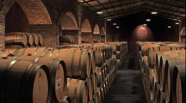 Cornejo: "La retención del 8% para exportaciones vitivinícolas es una medida desfavorable"