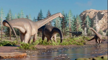 El Conicet halló una nueva especie de dinosaurio herbívoro de cuello largo