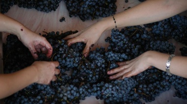 El sector vitivinícola reclamó no pagar las retenciones introducidas en la "Ley ómnibus"