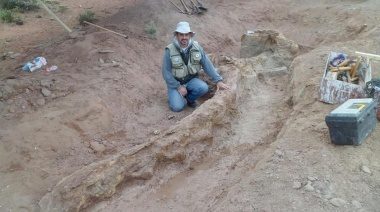 El Conicet identificó evidencias de tres enfermedades en dinosaurios de la Patagonia