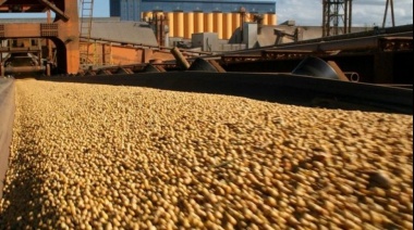 La baja del precio internacional de la harina de soja reduce la proyección de las exportaciones