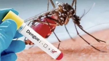 Confirmaron el fallecimiento de una joven por dengue que tenía comorbilidades
