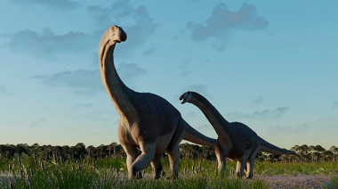 Científicos del Conicet hallan restos de un titanosaurio que vivió hace 66 millones de años